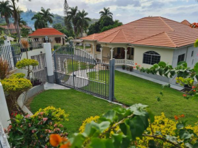 Rose View Apartment